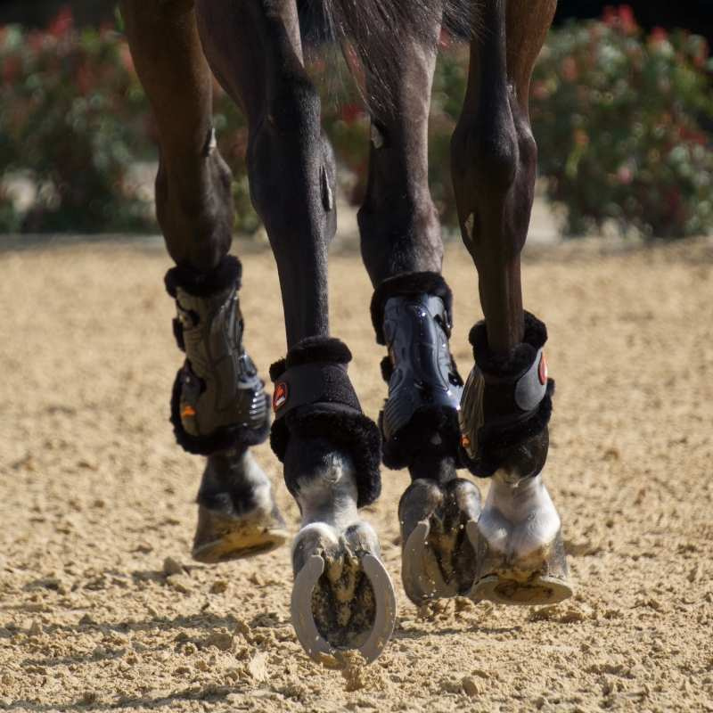 Tendon Boots eAirshock Legend Fluffy Black