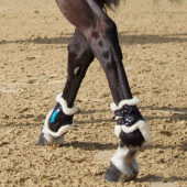 Fetlock Boots eAirshock Fluffy Black Fetlock Boots eAirshock Fluffy Black