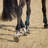 Fetlock Boots eAirshock Black Fetlock Boots eAirshock Black