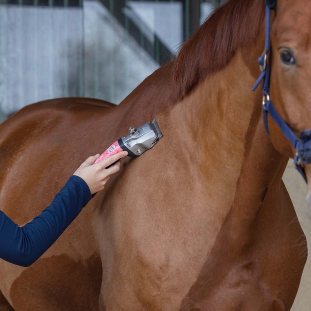 Clipping Machine Bonum Pro 2 Batteries Pink