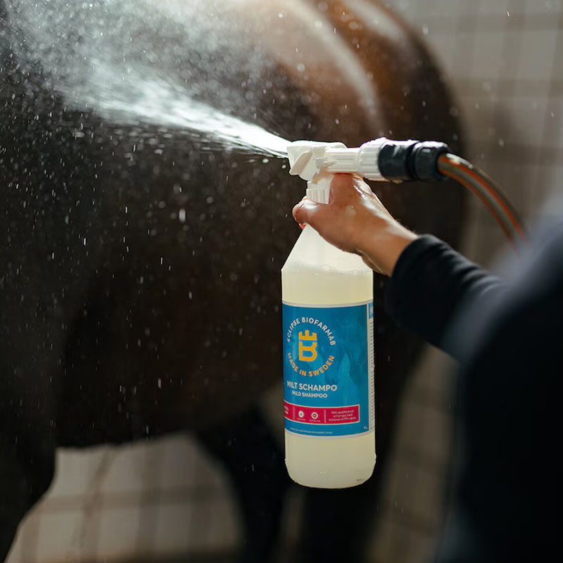 Mild Shampoo 1L with Applicator