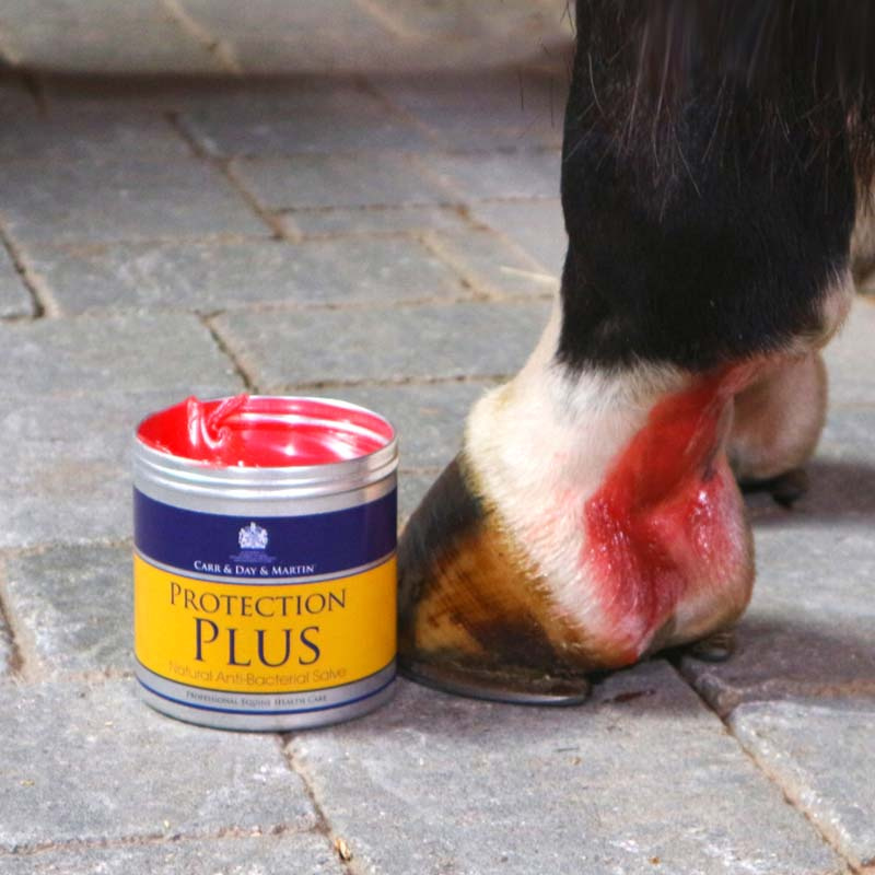 Antibacterial Cream Protection Plus 500g
