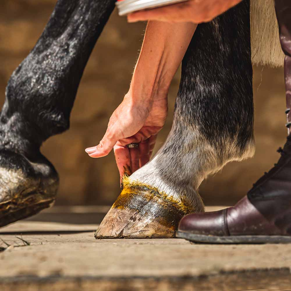 Hoof Salve Cornucrescine Original 500ml