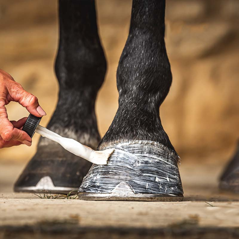 Hoof Moisturizer Cornucrescine 500ml