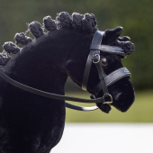 Bridle Toy Pony Black Bridle Toy Pony Black