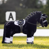 Bridle Toy Pony Black Bridle Toy Pony Black