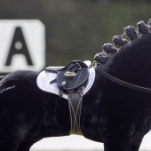 Saddle Toy Pony Black Saddle Toy Pony Black