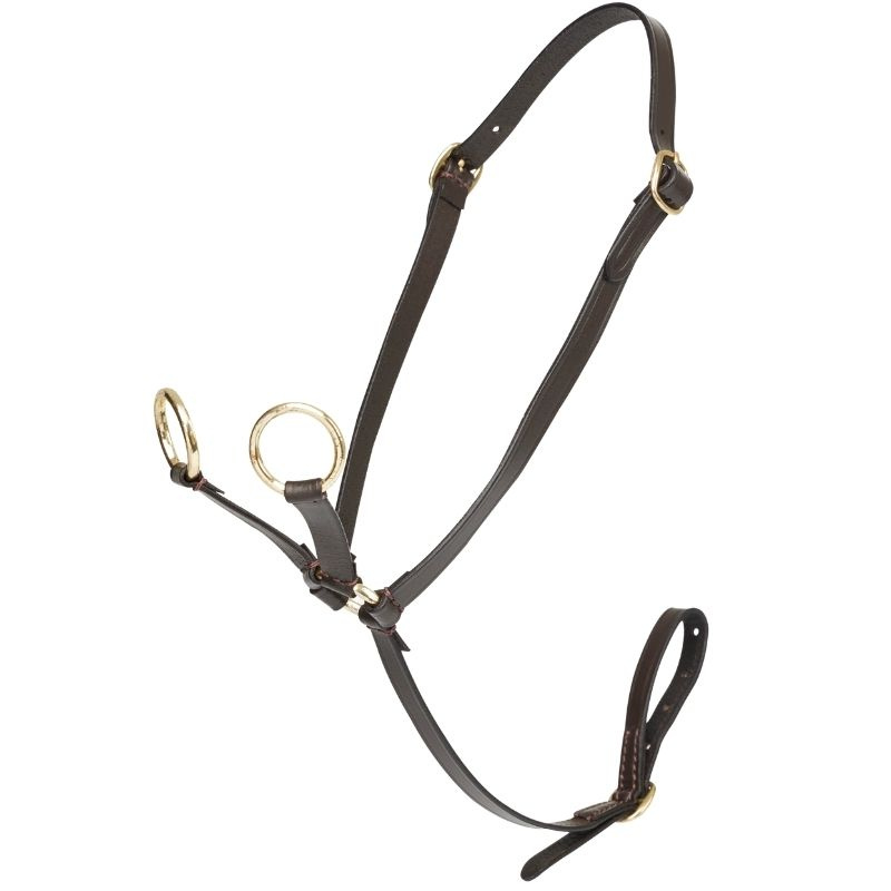 Martingale Toy Pony Brown