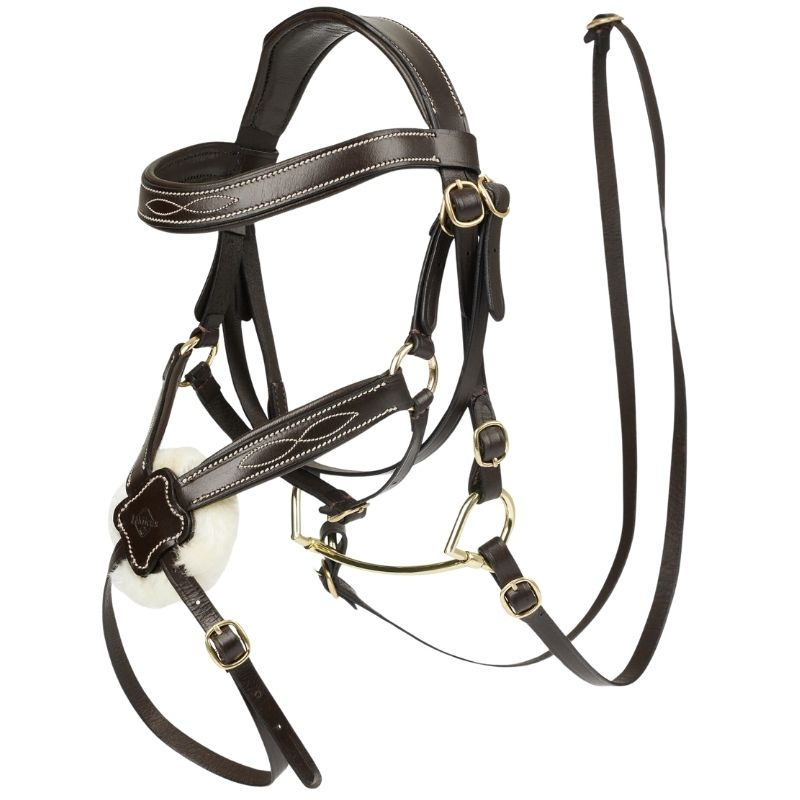 Bridle for Hobby Horse Grackle Brown