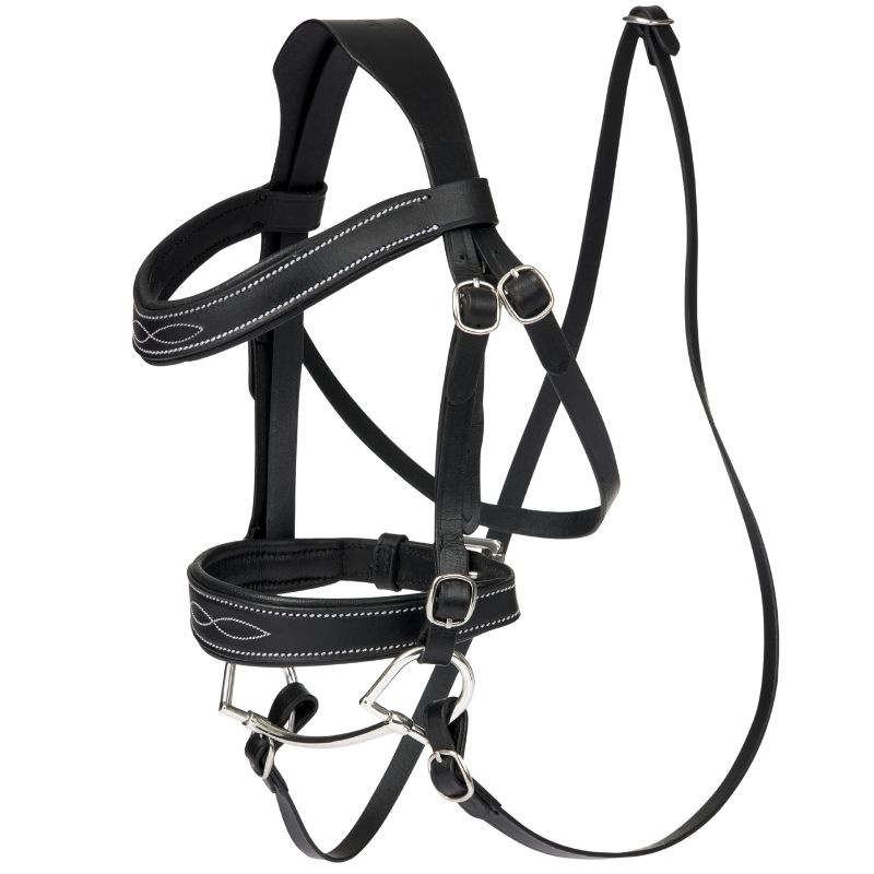 Bridle for Hobby Horse Competition Black