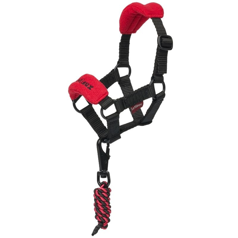 Halter Toy Pony Vogue Red