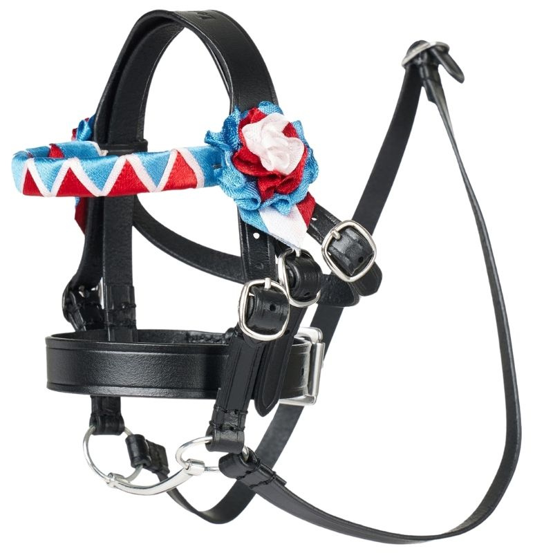 Bridle Toy Pony Showing Black