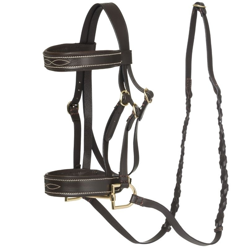 Bridle for Hobby Horse Hunter Brown