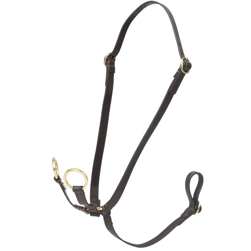Running Martingale for Hobby Horse Brown