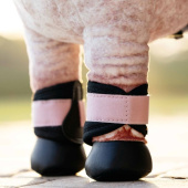 Brushing Boots Toy Pony Grafter Black/Light Pink Brushing Boots Toy Pony Grafter Black/Light Pink