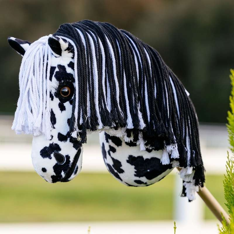 Hobby Horse Dakota