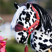 Hobby Horse Dakota Hobby Horse Dakota
