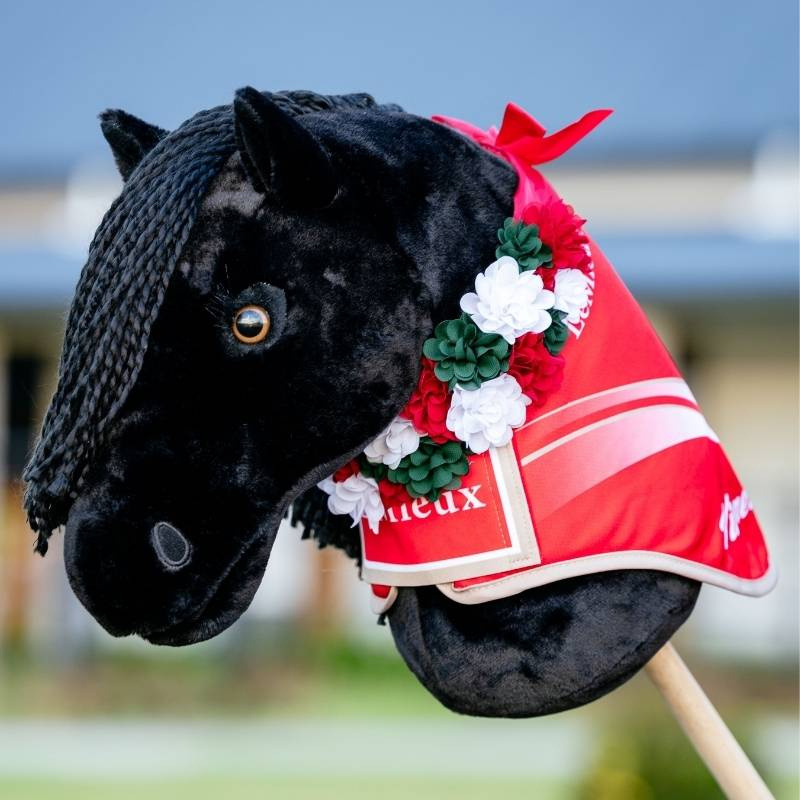 Show Rug for Hobby Horse Winners Red