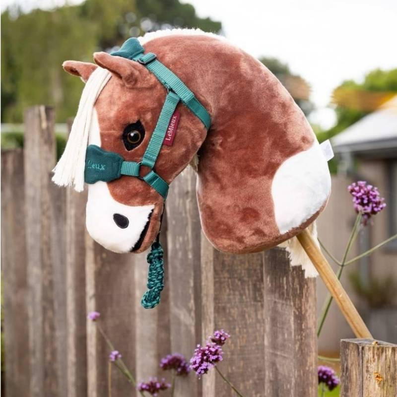 Hobby Horse Flash