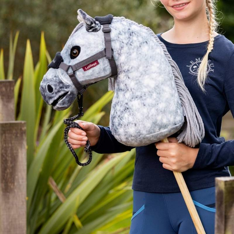 Hobby Horse Sammy