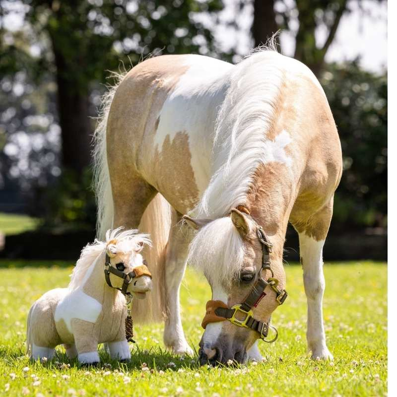 Toy Pony Lemon