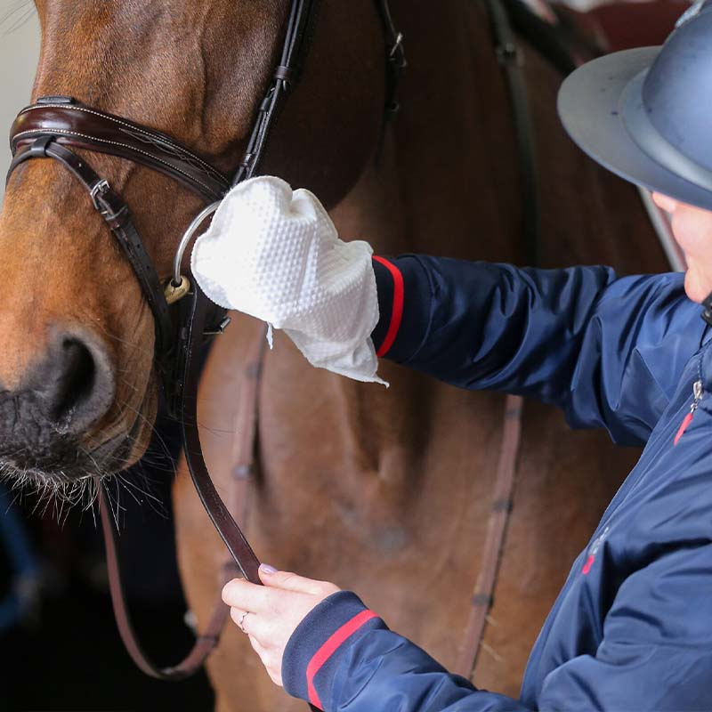 Leather Cleaner Belvoir Gloves 10-pack