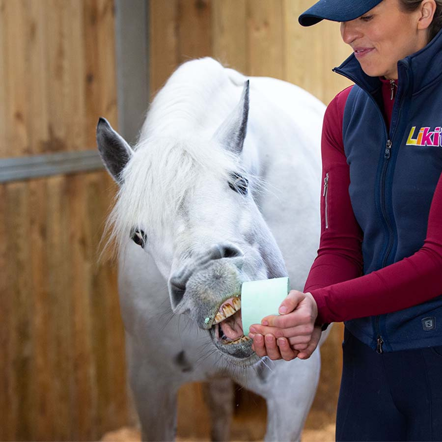 Lick Stone Apple Refill with Holes 650g