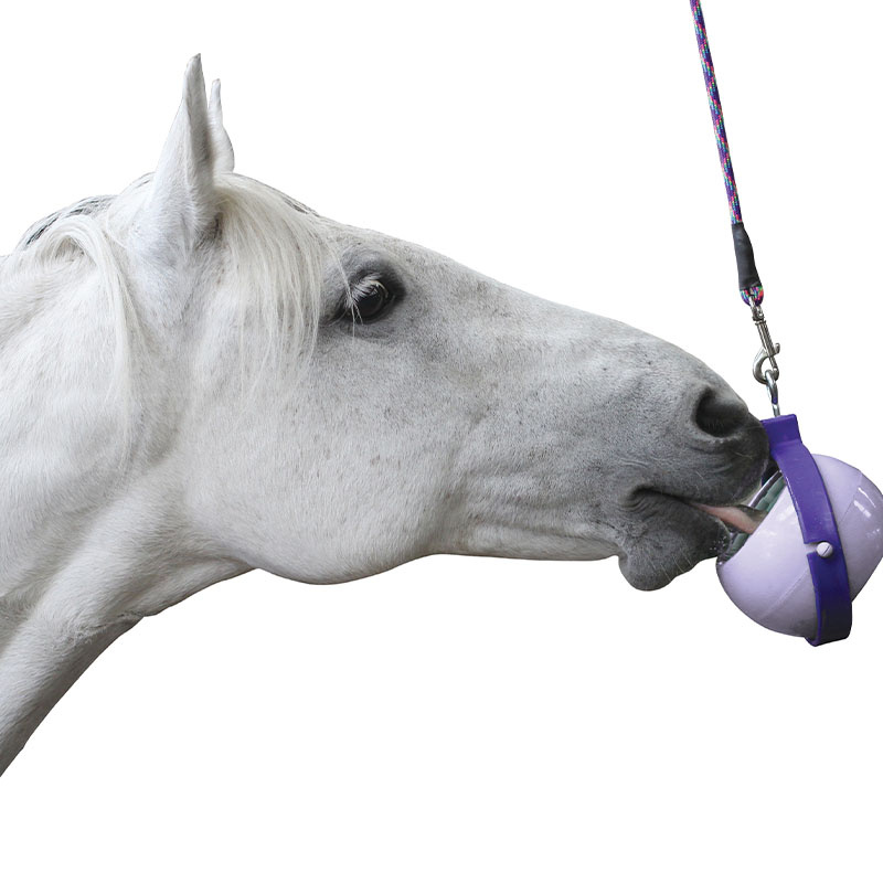 Holder Boredom Buster Level 3 Purple