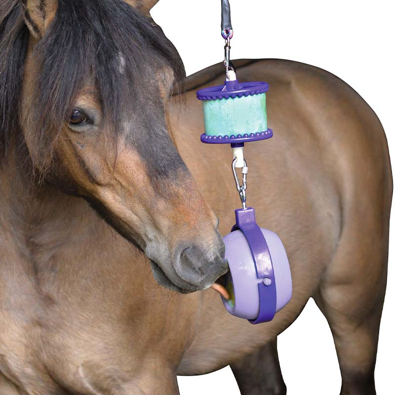 Holder Boredom Buster Level 3 Purple