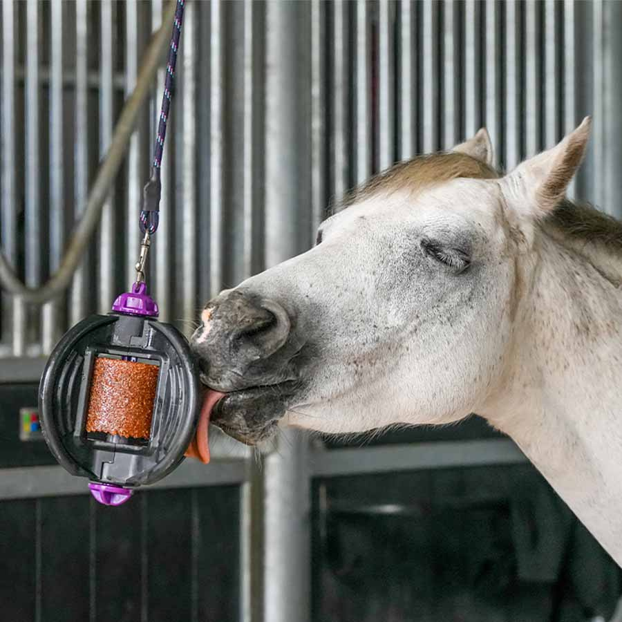 Holder Bizzy Ball Black