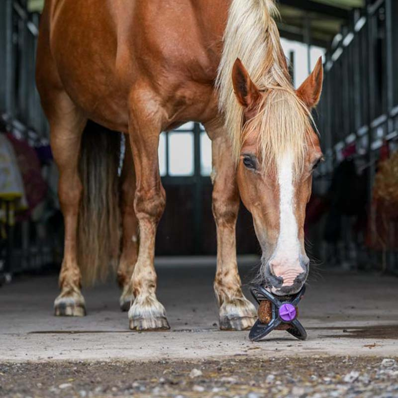 Holder Bizzy Ball Black