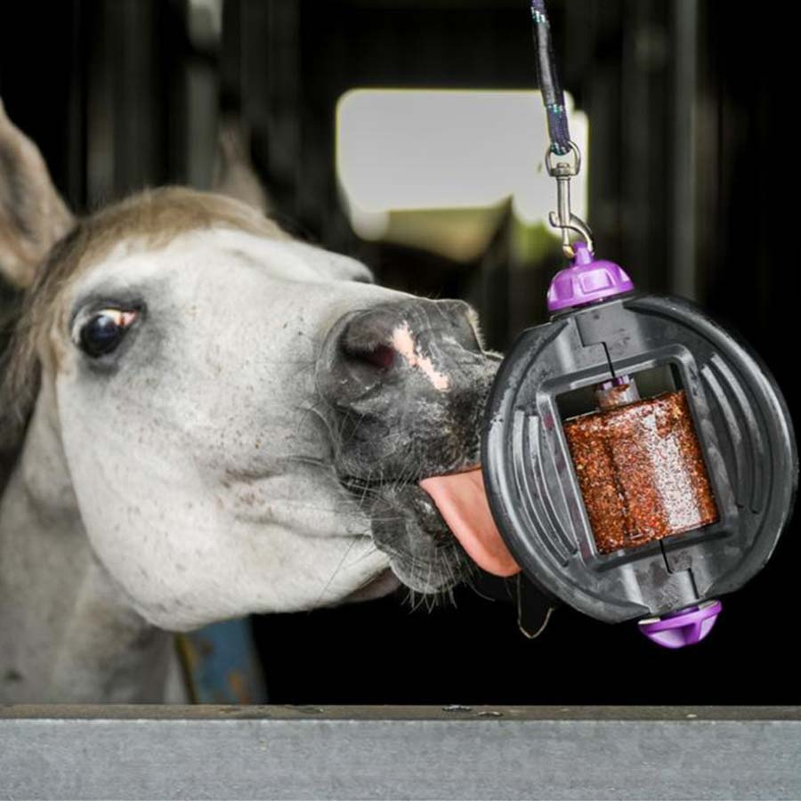 Lick Stone Bizzy Lick Mint Refill 1kg