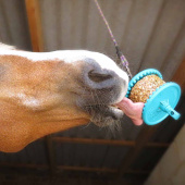 Lick Stone Granola Mixed Berry Refill with Holes 550g Lick Stone Granola Mixed Berry Refill with Holes 550g