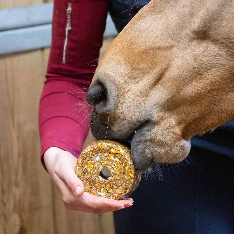 Lick Stone Granola Peppermint Refill with Holes 550g