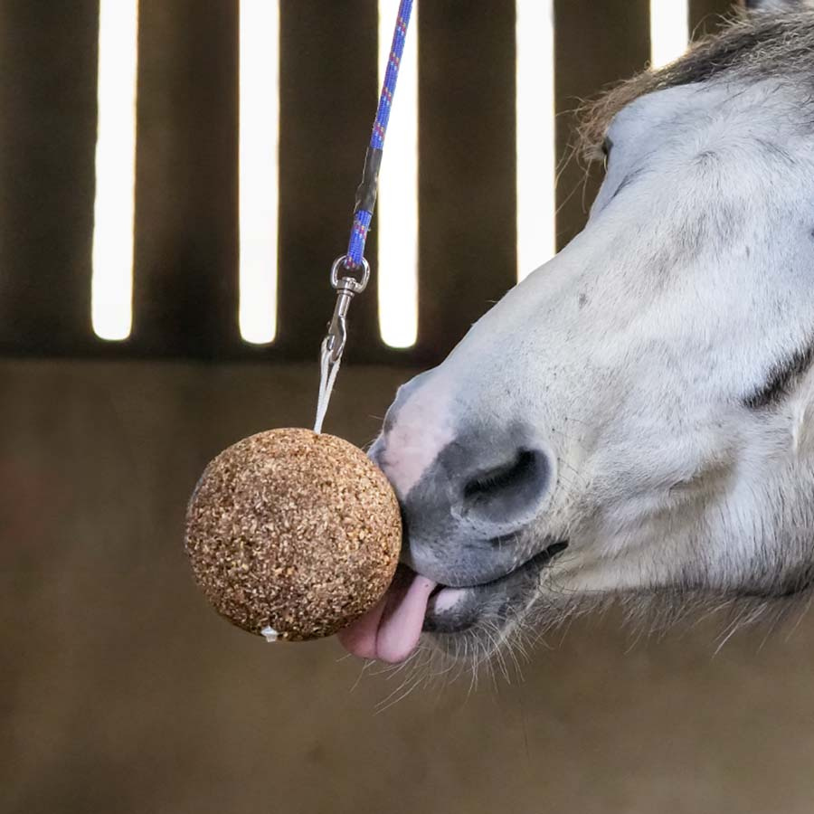 Stable Ball GranoLo Apple 1,5kg