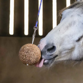 Stable Ball GranoLo Apple 1,5kg Stable Ball GranoLo Apple 1,5kg