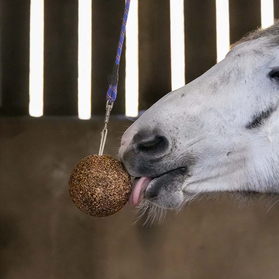 Stable Ball GranoLo Apple 1,5kg