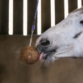 Stable Ball GranoLo Apple 1,5kg Stable Ball GranoLo Apple 1,5kg