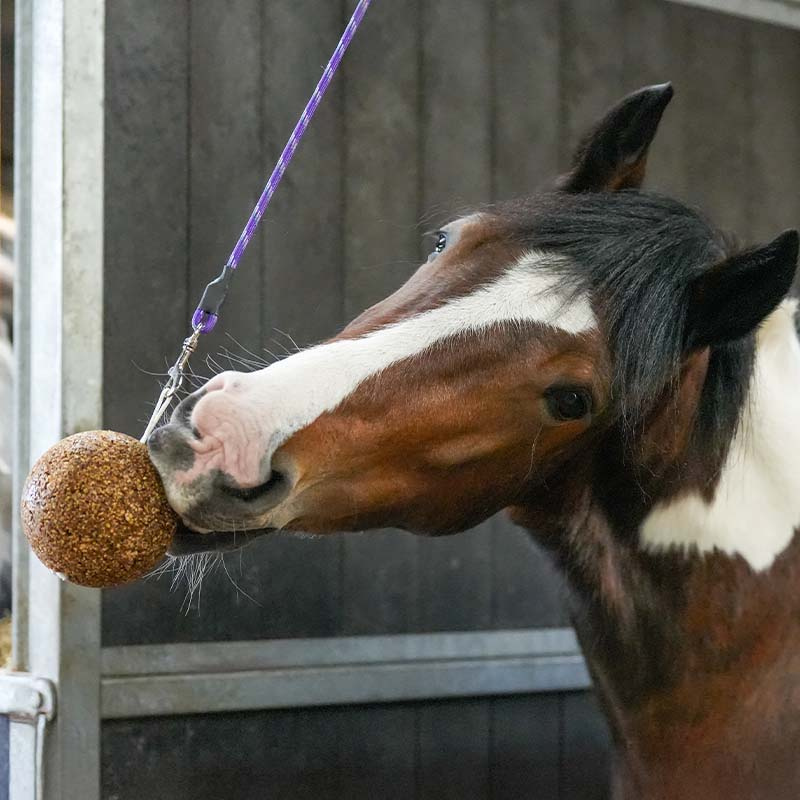 Stable Ball GranoLo Apple 1,5kg