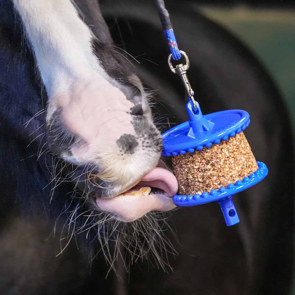 Lick Stone GranoLo Apple Refill with Hole 400g