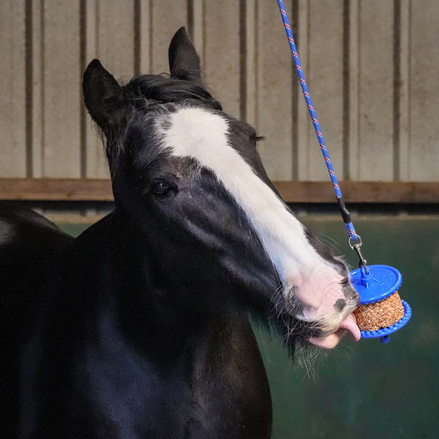 Lick Stone GranoLo Apple Refill with Hole 400g