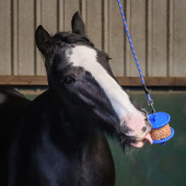 Lick Stone GranoLo Apple Refill with Hole 400g Lick Stone GranoLo Apple Refill with Hole 400g