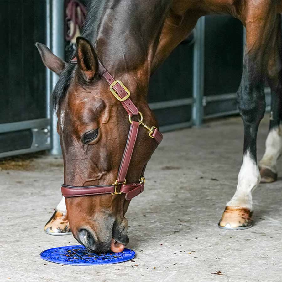 Graze Maze Lick Mat Level 1 Blue