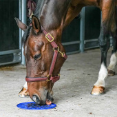 Graze Maze Lick Mat Level 1 Blue Graze Maze Lick Mat Level 1 Blue