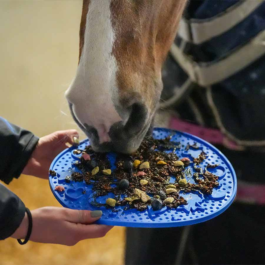 Graze Maze Lick Mat Level 1 Blue