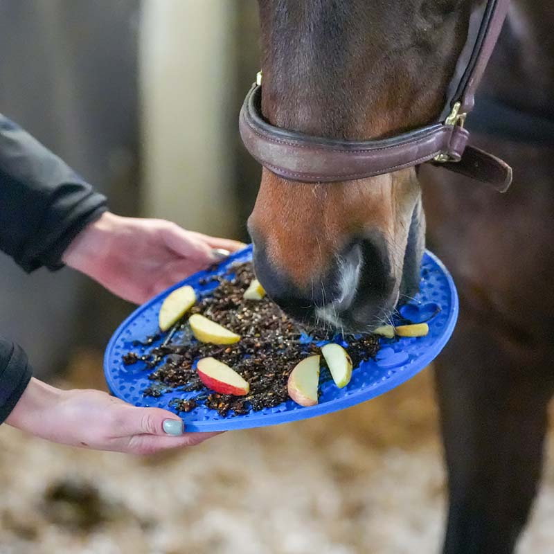 Graze Maze Lick Mat Level 1 Blue