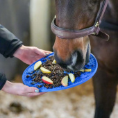 Graze Maze Lick Mat Level 1 Blue Graze Maze Lick Mat Level 1 Blue