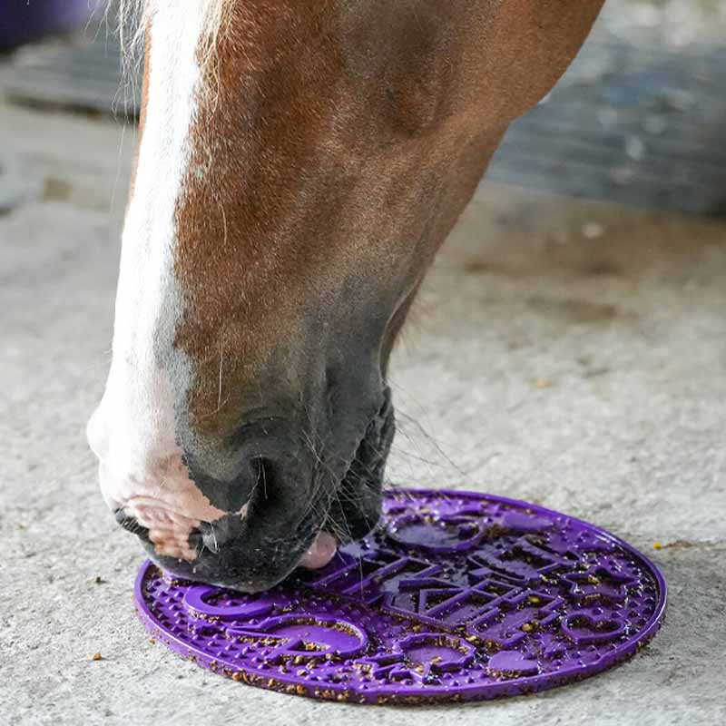 Graze Maze Lick Mat Level 1 Purple