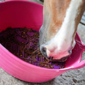 Graze Paste Original 1,2kg Graze Paste Original 1,2kg