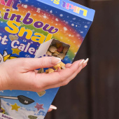 Advent Calendar Horse Treats Rainbow Snaks 200g Advent Calendar Horse Treats Rainbow Snaks 200g